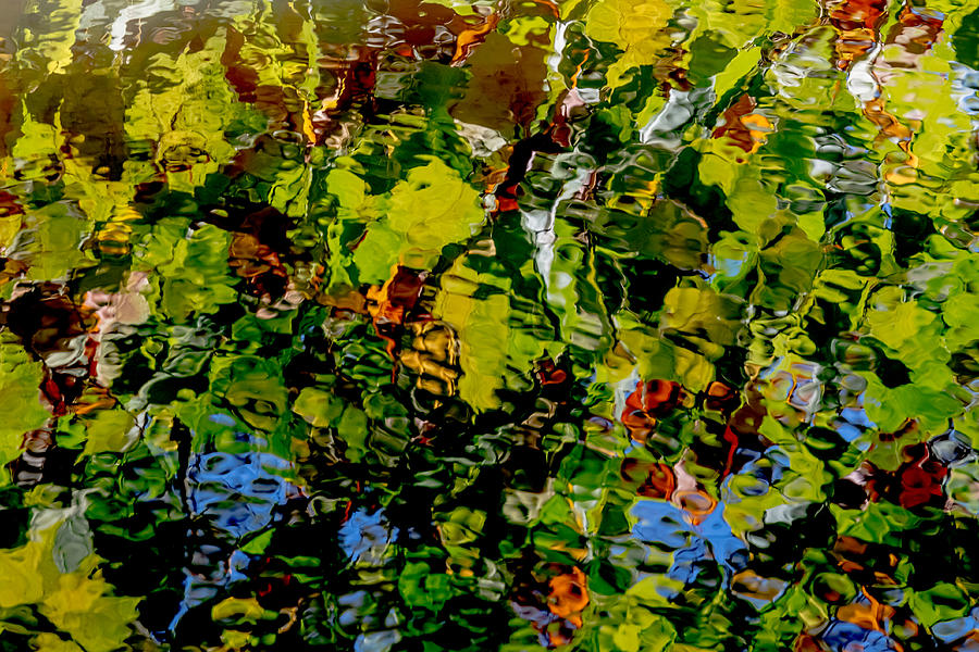 Autumn Ripples Abstract Photograph by Jim DeLillo