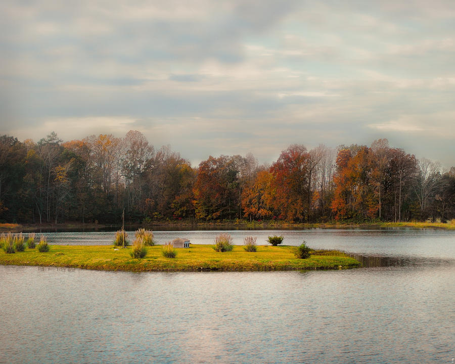 Autumn Rising At The Duck Pond - Autumn Scene Photograph by Jai Johnson