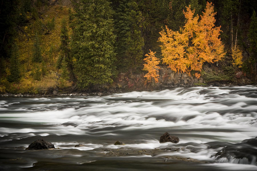 Autumn River Bank Photograph by Sonya Lang