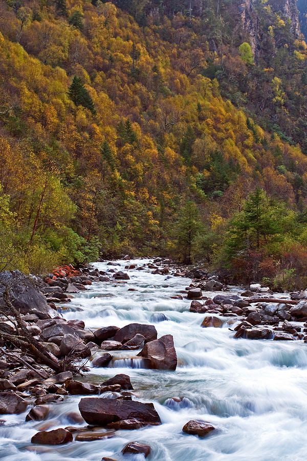 Autumn River Photograph by Jason KS Leung