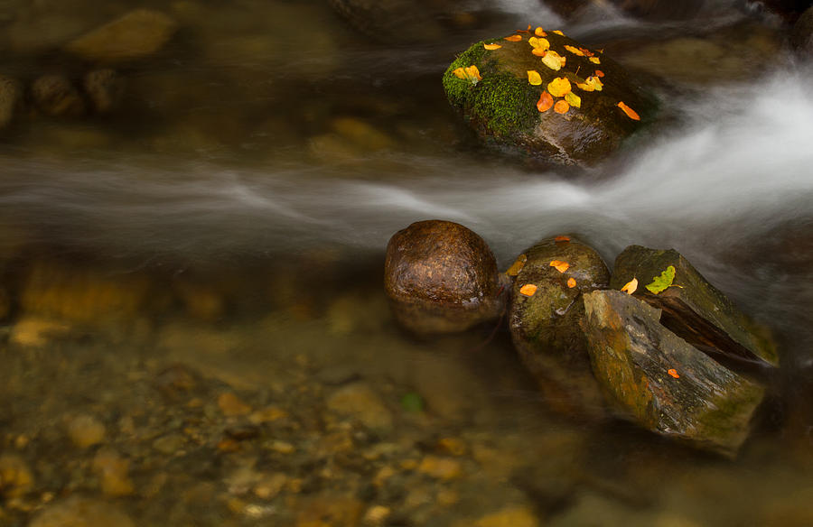 Autumn river Photograph by Mircea Costina Photography