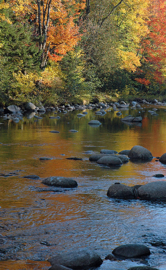 Autumn River Reflections Photograph by Bruce Gourley