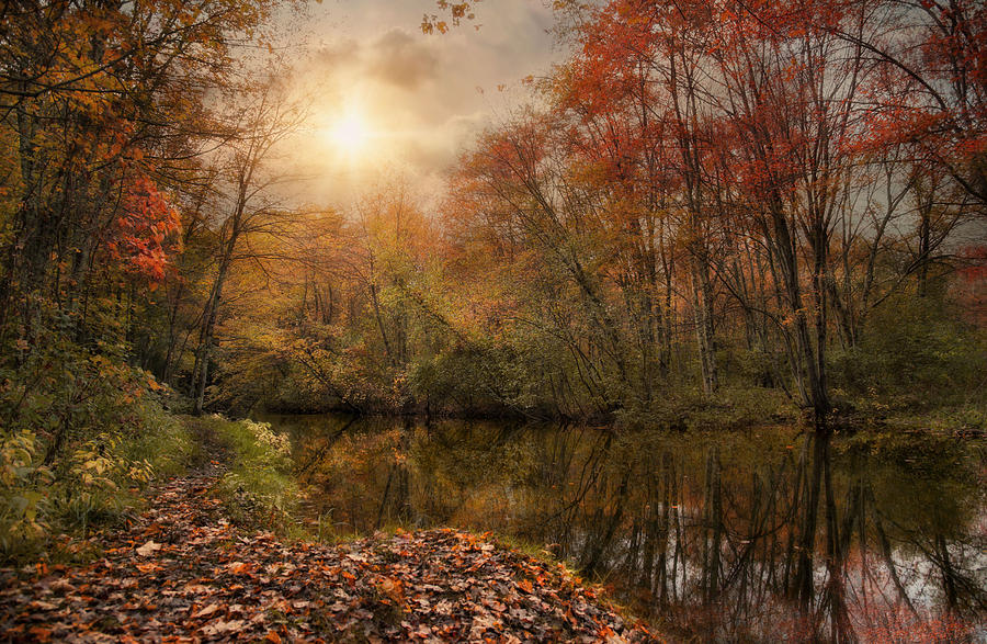 Autumn River Photograph by Robin-Lee Vieira