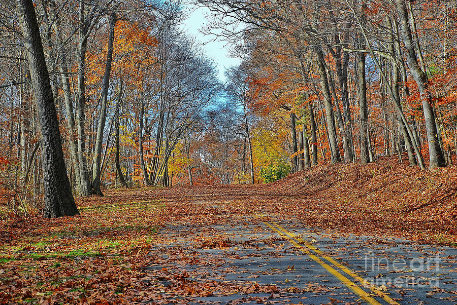 Autumn Road Photograph by Allen Beatty
