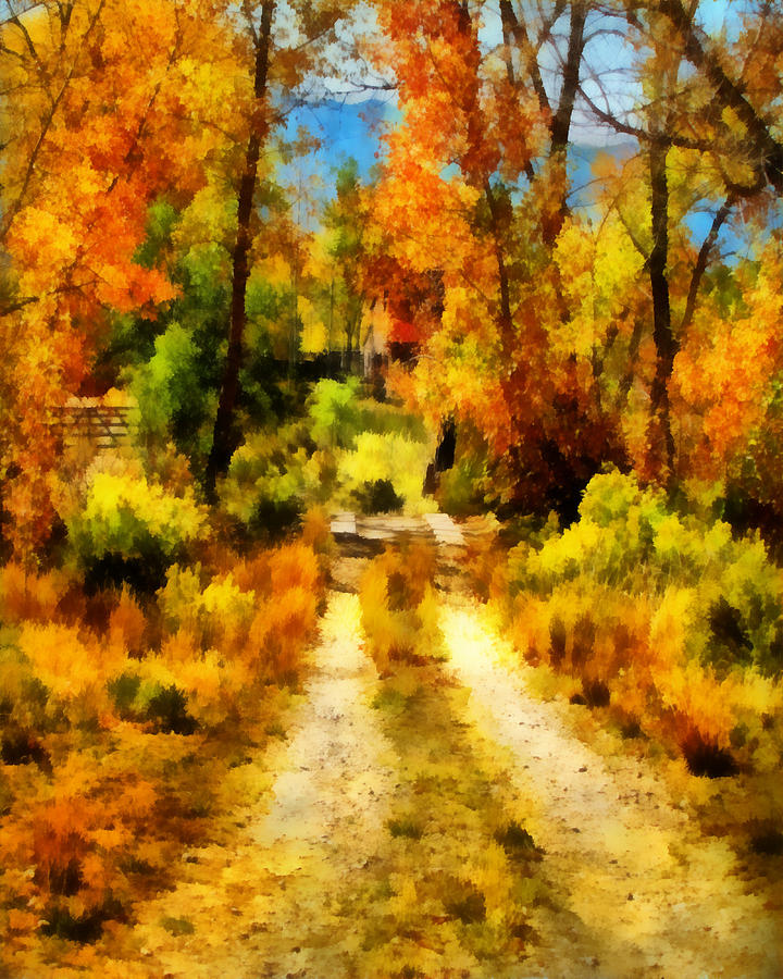 Autumn Road  Digital Art by Ann Powell