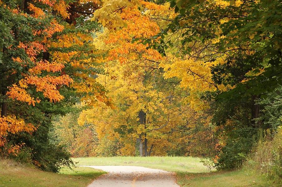 Autumn Road Photograph by Ashley Kiel - Fine Art America