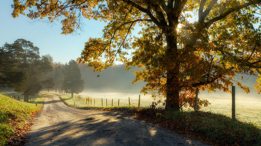 Autumn Road Photograph by Bill Wakeley