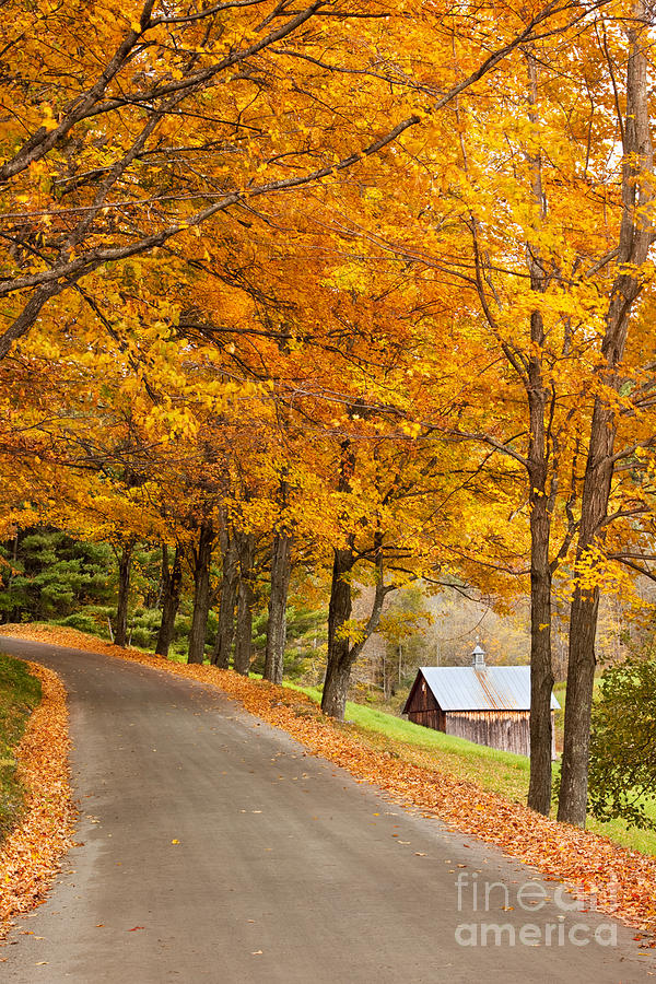 Fall Photograph - Autumn Road by Brian Jannsen