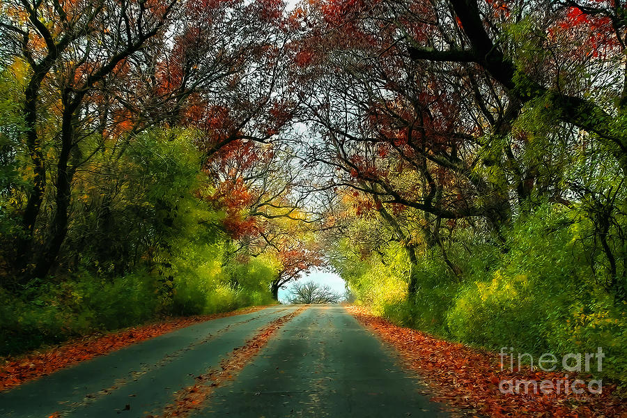 Autumn Road Photograph by Clare VanderVeen