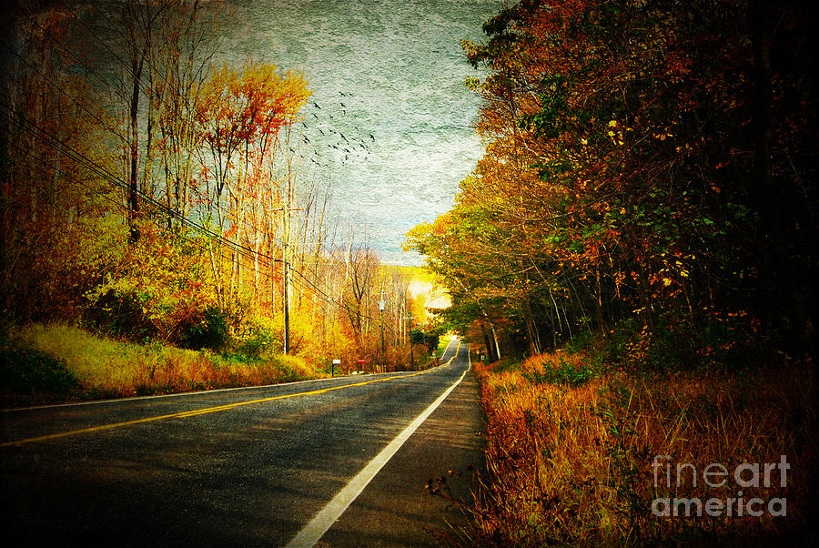 Autumn Road Connecticut USA Photograph by Sabine Jacobs