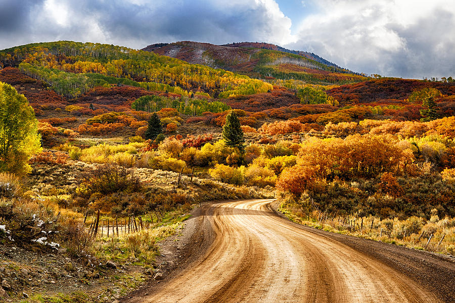Autumn Road Photograph by David Soldano