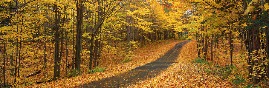 Fall Photograph - Autumn Road, Emery Park, New York by Panoramic Images