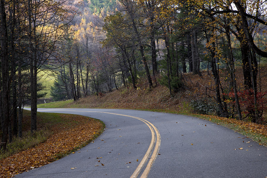 Fall Photograph - Autumn Road by Heather Reeder
