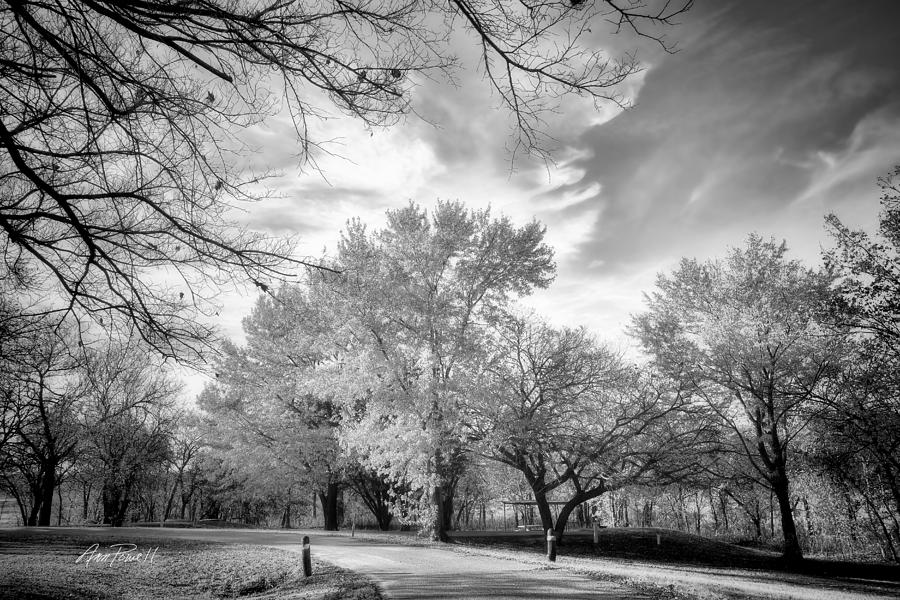 Autumn Road in Black and White - photography Photograph by Ann Powell