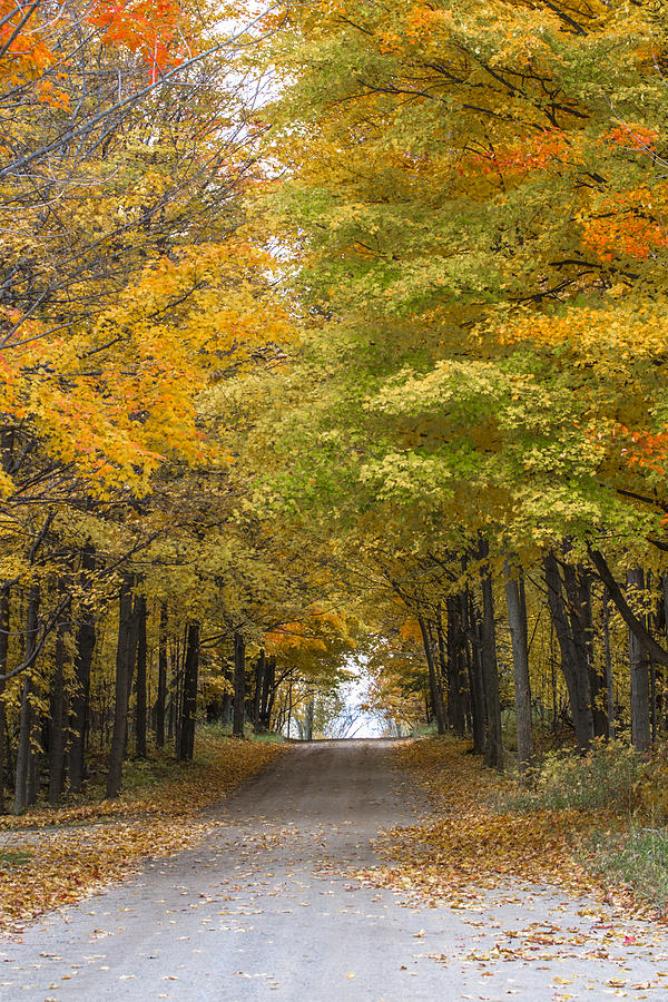 Autumn Road in Michigan  Photograph by John McGraw