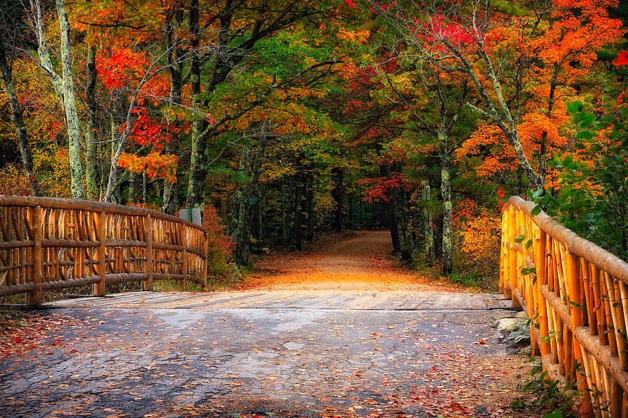 Autumn Road Photograph by Jeff Sinon