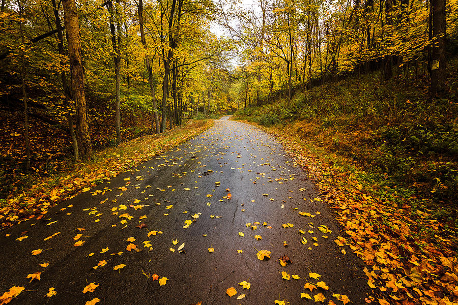 Autumn Road Photograph by Keith Allen