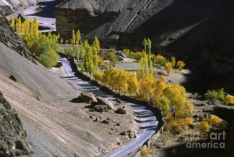 Autumn Road Ladakh Photograph by Craig Lovell