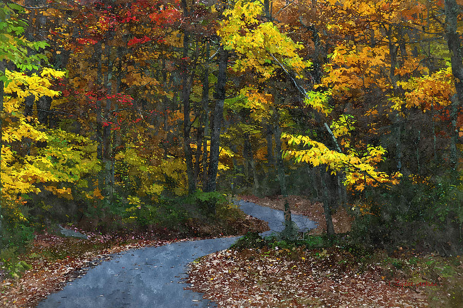 Autumn Road Painting by Lynne Jenkins