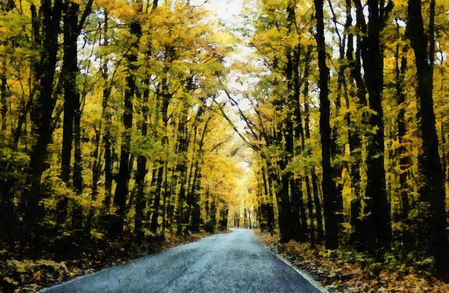 Autumn Road Photograph by Michelle Calkins