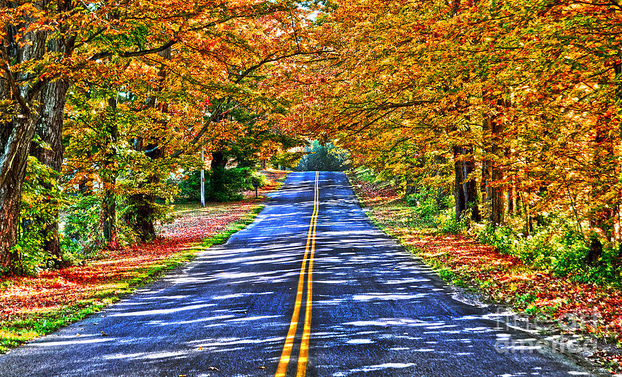 Autumn Road Oneida County NY Photograph by Diane E Berry