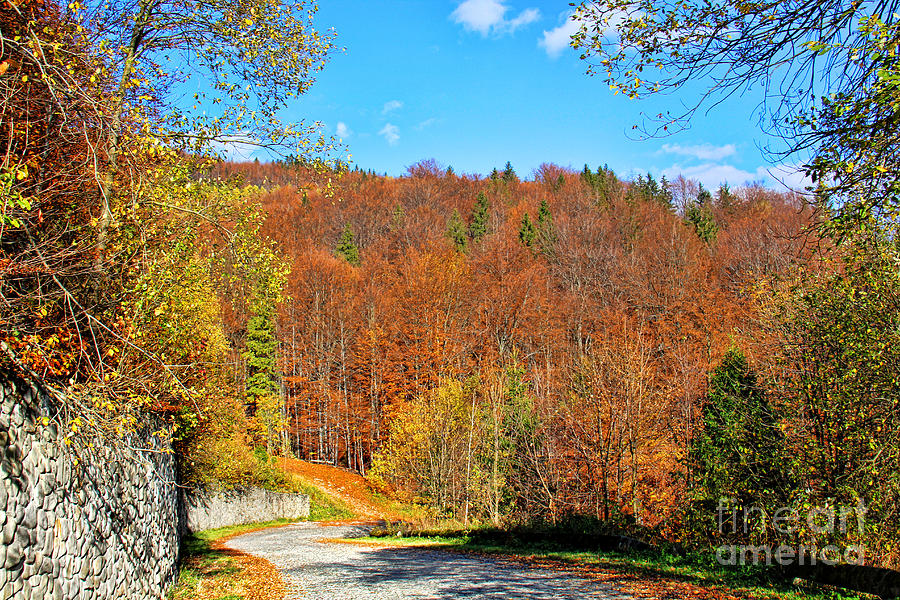 Fall Photograph - Autumn Roads by Mariola Bitner