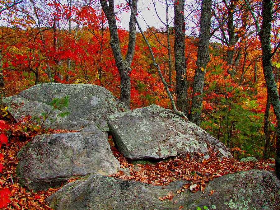 Autumn Rocks Photograph by Kathy Long