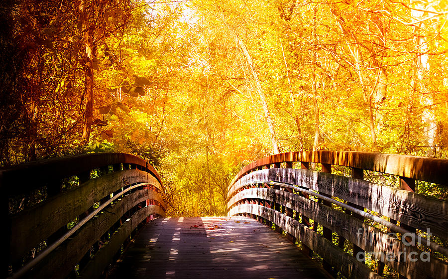Autumn Romantic Walk Bridge Photograph by Peggy Franz