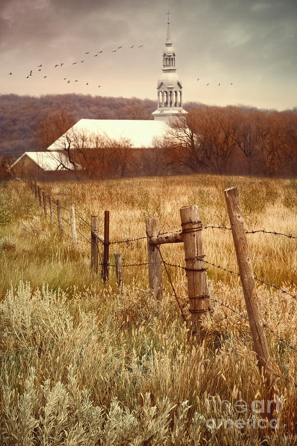Bird Photograph - Autumn rural scene with church in background by Sandra Cunningham