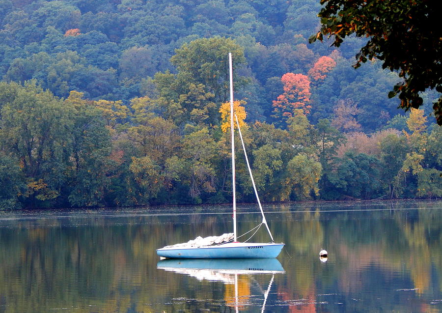 Autumn Sails Photograph by Wild Thing