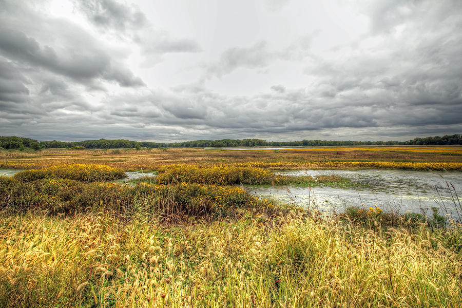 Autumn Salt Marsh - Bombay Hook National Wildlife Refuge - Delaware - USA Photograph by Carol Senske