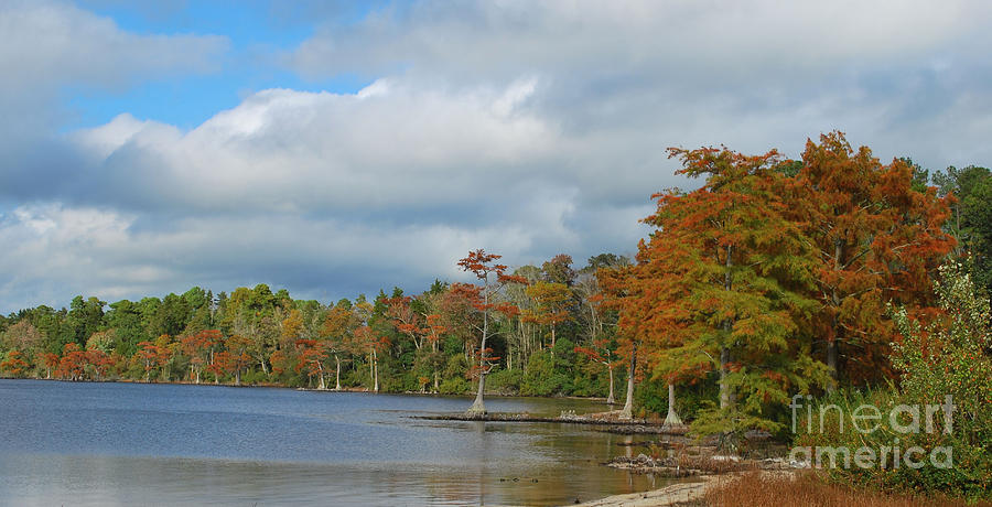 Autumn Scene At Jones Lake Photograph by Bob Sample