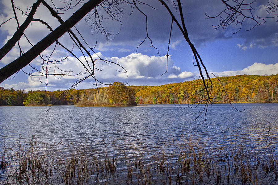 Autumn Scene From The Lakeshore Photograph