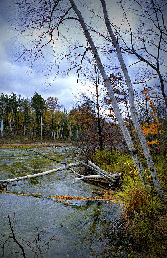Autumn Scene of along the shore of the Platte River in Michigan Photograph by Randall Nyhof