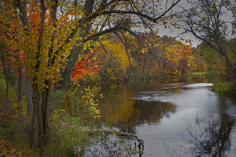 Autumn Scene Of The Flat River Photograph