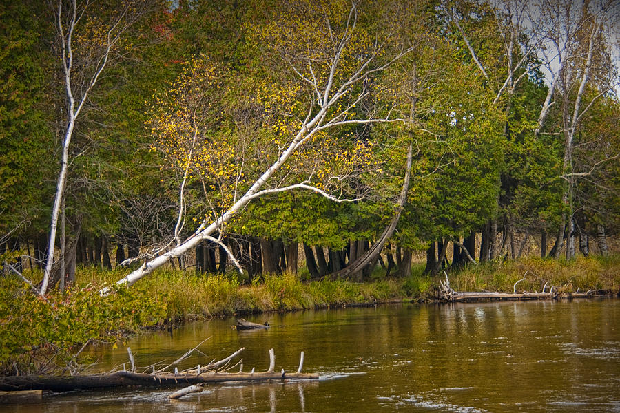 Autumn Scene on the Little Manistee River Photograph by Randall Nyhof