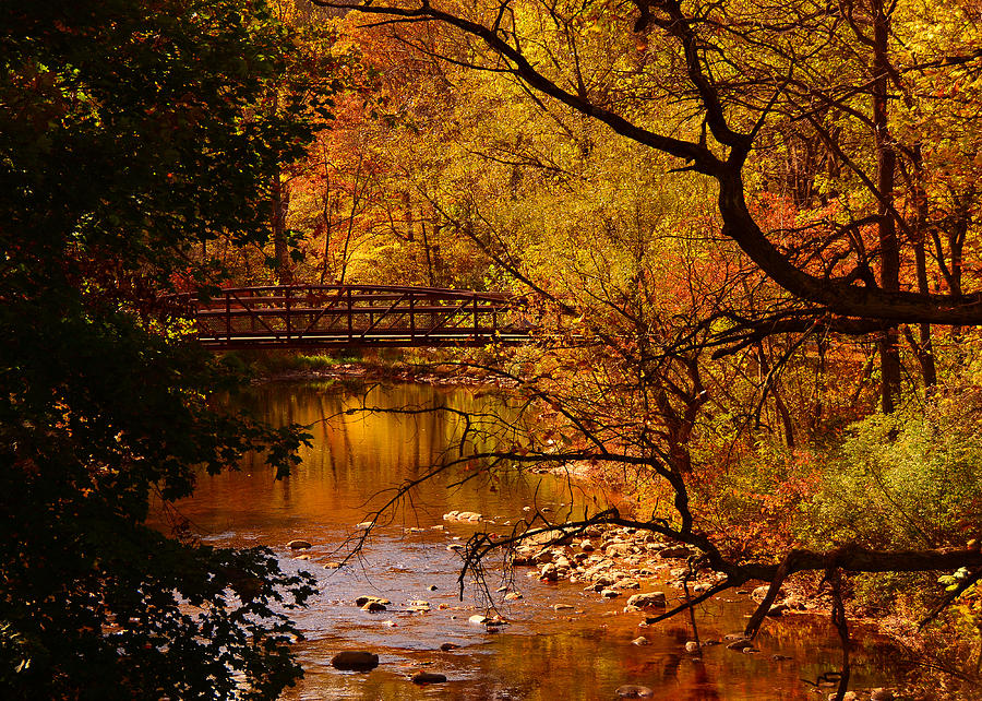 Autumn Scene Photograph by Raymond Salani III