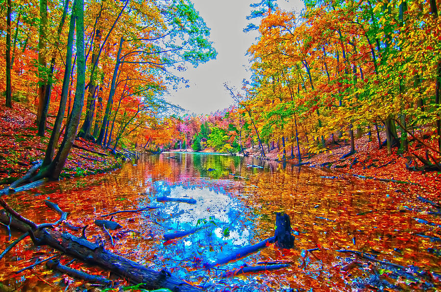 Autumn Season At A Lake Photograph by Alex Grichenko