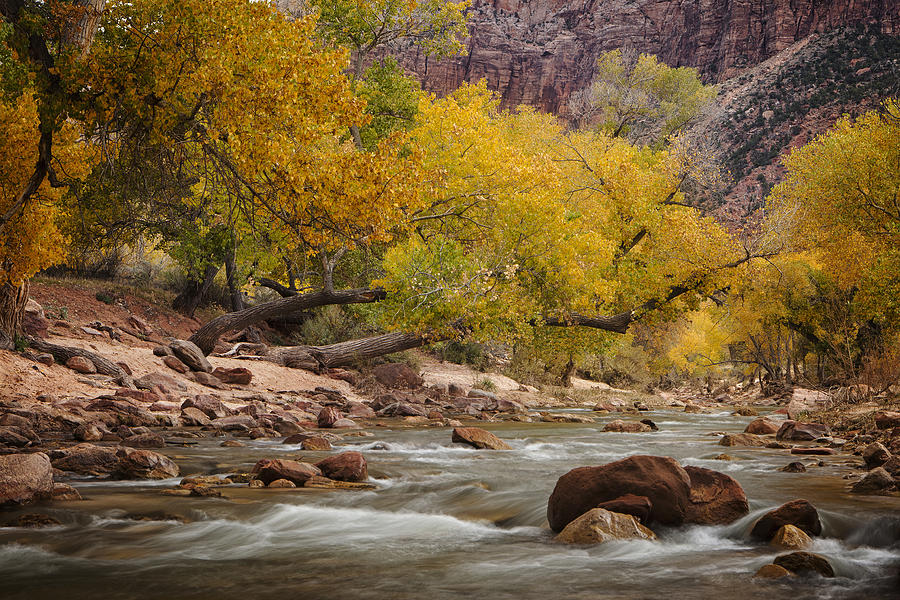 Zion National Park Photograph - Autumn Serenity by Andrew Soundarajan