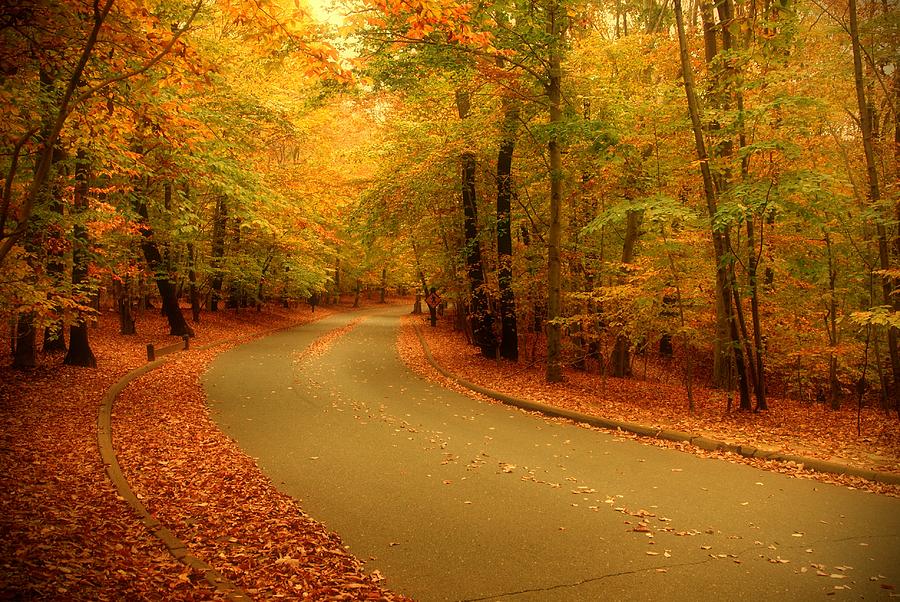 Autumn Serenity - Holmdel Park  Photograph by Angie Tirado