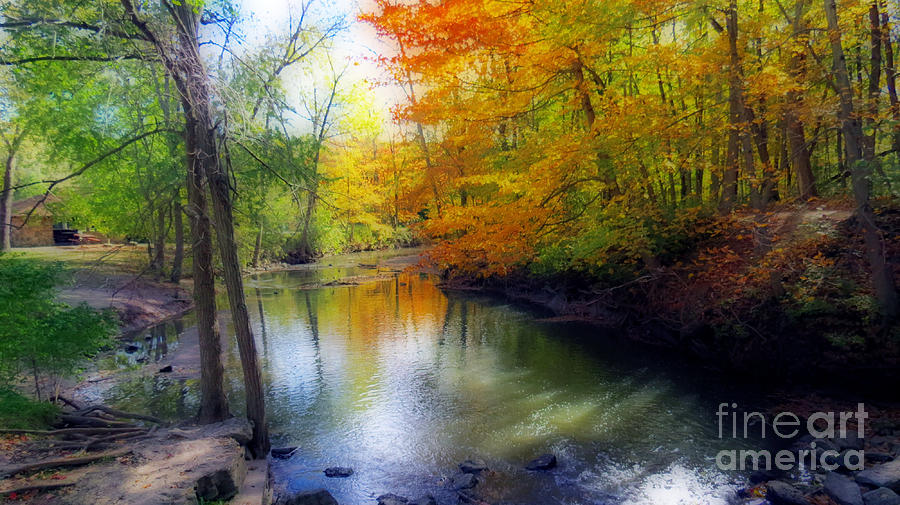 Autumn Serenity Photograph