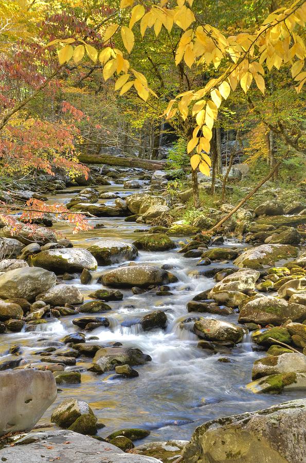 Tremont Photograph - Autumn Serenity by Mary Anne Baker Tremont Photograph - Autumn Serenity by Mary Anne Baker