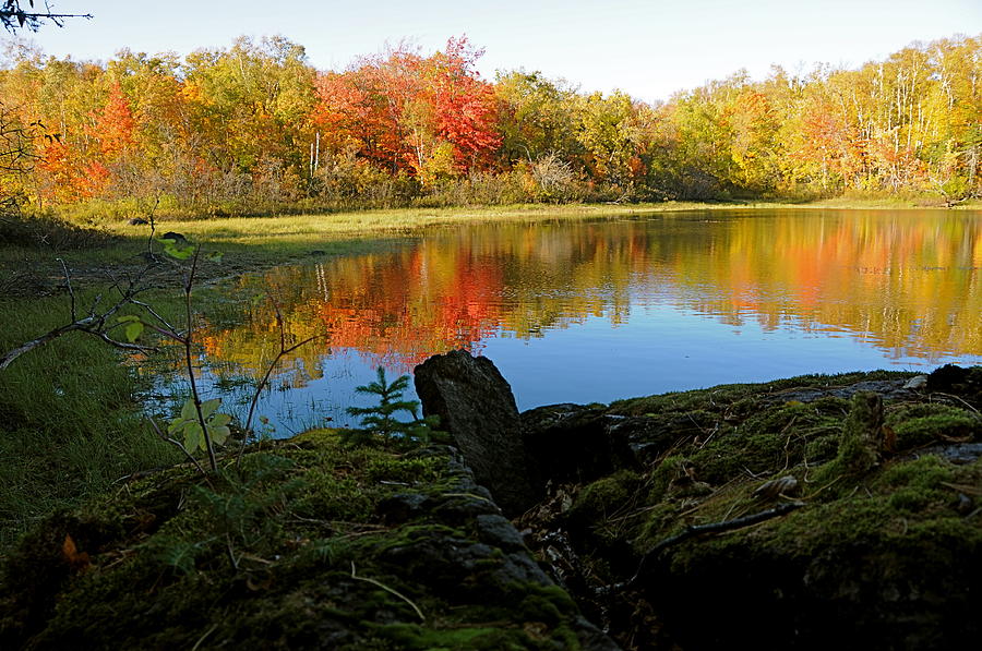 Autumn Serenity Photograph by Sandra Updyke