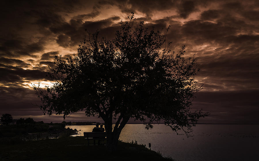 Sunset Photograph - Autumn Setting by Blanca Braun Sunset Photograph - Autumn Setting by Blanca Braun