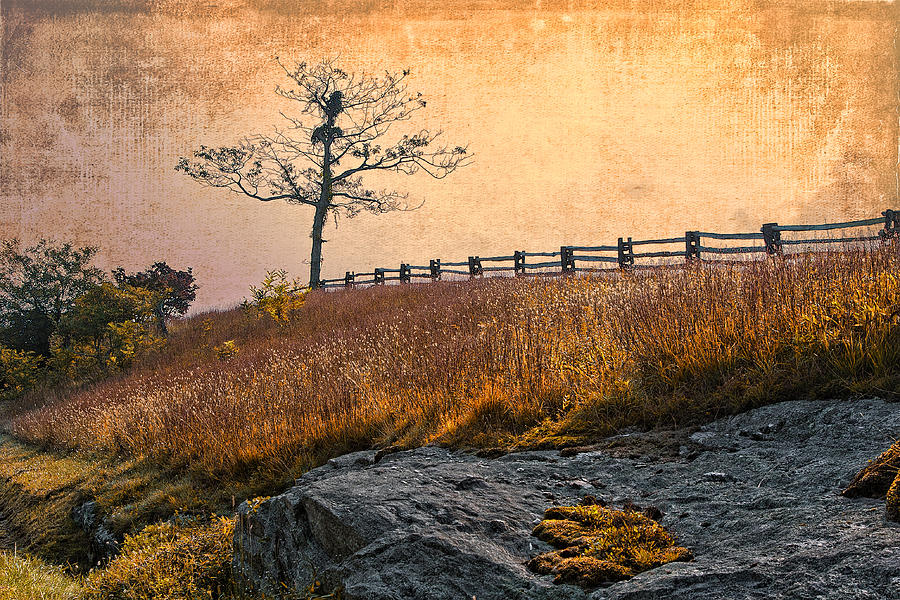Autumn Shadows II Painting by Dan Carmichael