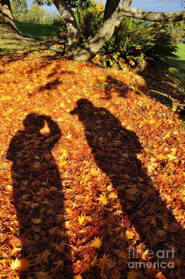 Autumn Shadows Photograph by Tikvahs Hope