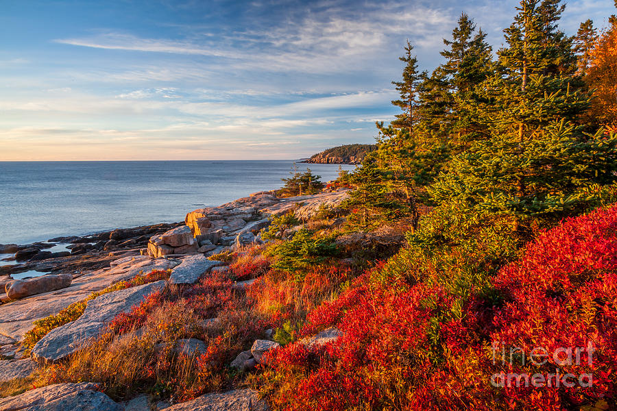 Autumn Shore in Acadia Photograph by Susan Cole Kelly