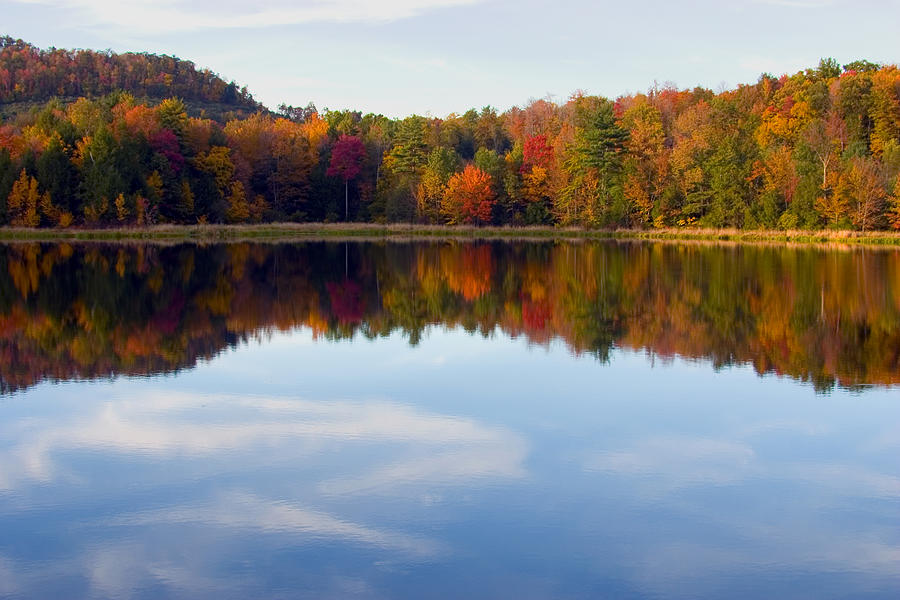 Autumn Shoreline Reflection Photograph by Gene Walls