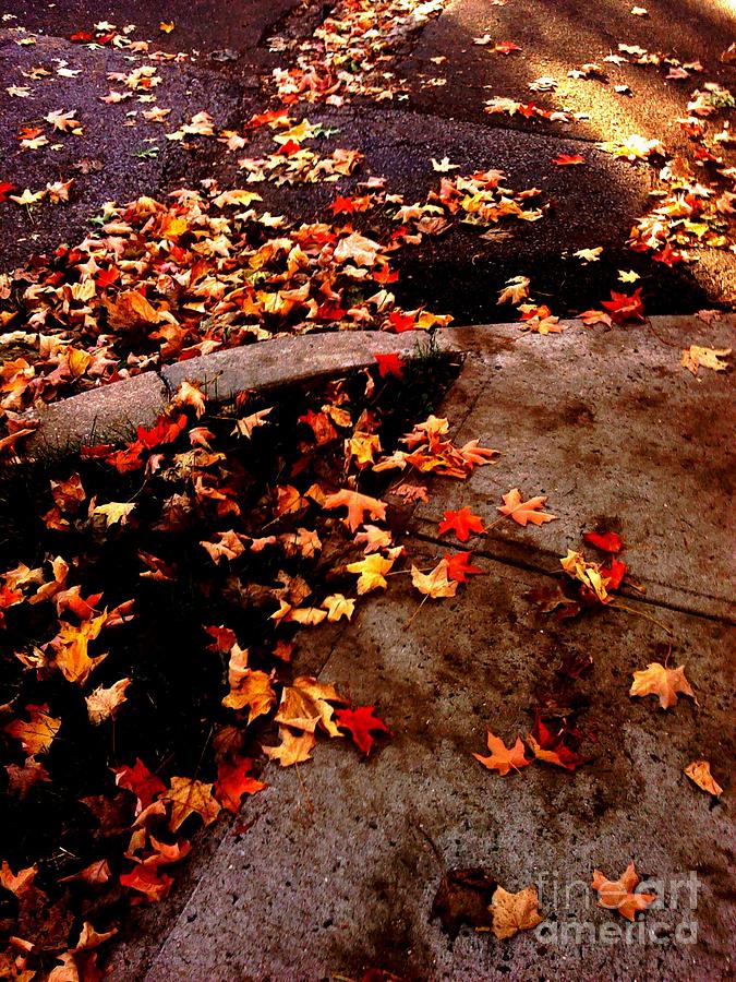 Autumn Sidewalk Photograph by Miriam Danar