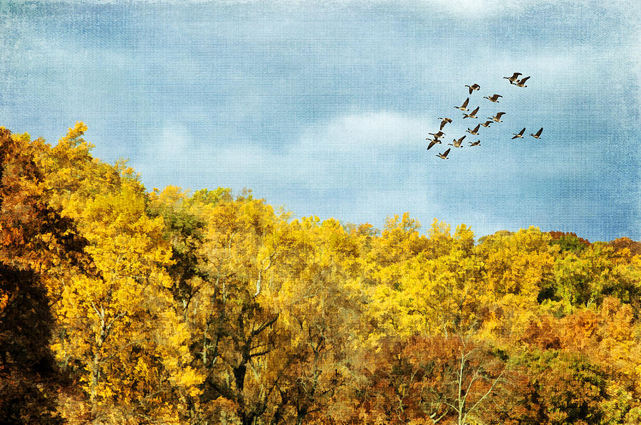 Autumn Skies Photograph by Cathy Kovarik